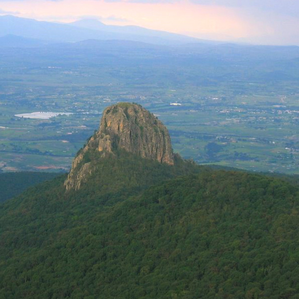 Montana Nado